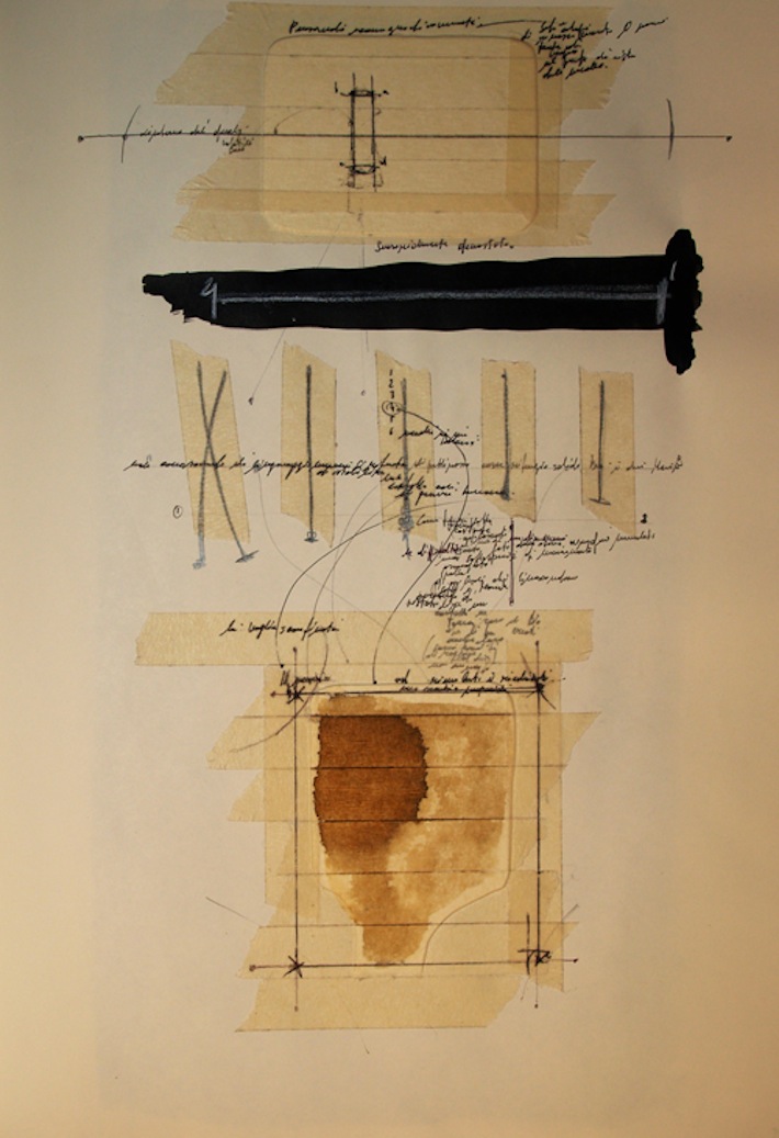 Passiflora,35cm x 50 cm,organic media on paper 2011 copy