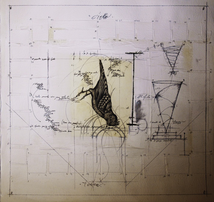 Fabrizio Cotognini Il bestiario morto cardellino part 1 of 9 50 cm x 50 cm organic media on paper courtesy of Prometeogallery of Ida Pisani .jpg