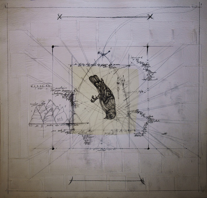 Fabrizio Cotognini Il bestiario morto colibrì part 1 of 9 50 cm x 50 cm organic media on paper courtesy of Prometeogallery of Ida Pisani .jpg