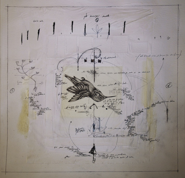 Fabrizio Cotognini Il bestiario morto upupa part 1 of 9 50 cm x 50 cm organic media on paper courtesy of Prometeogallery of Ida Pisani