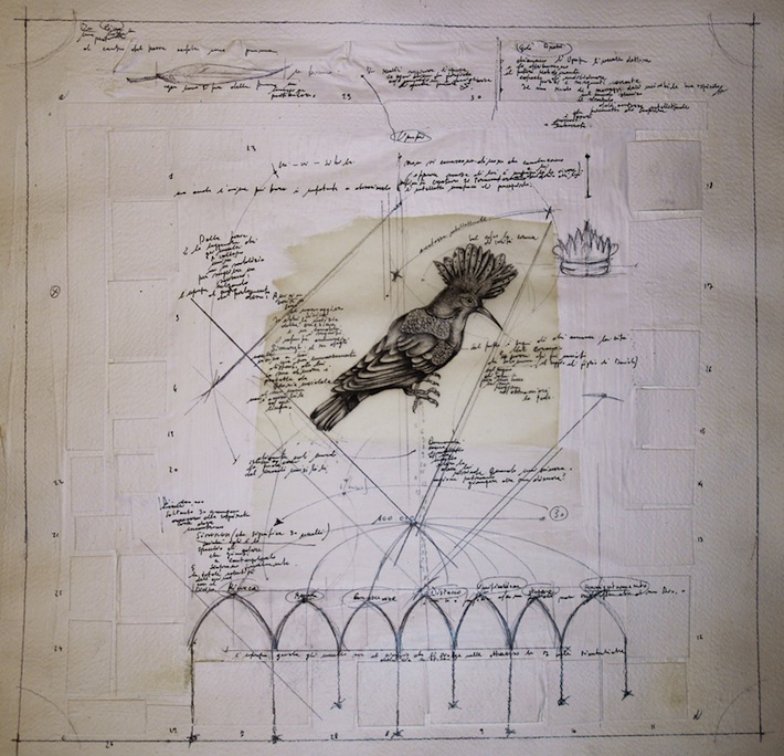 Fabrizio Cotognini Il bestiario morto passero solitario part 1 of 9 50 cm x 50 cm organic media on paper courtesy of Prometeogallery of Ida Pisani .jpg