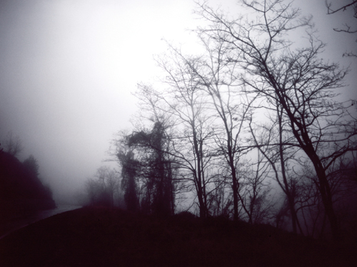 tumblr_m2e606fx3i1qbmz39