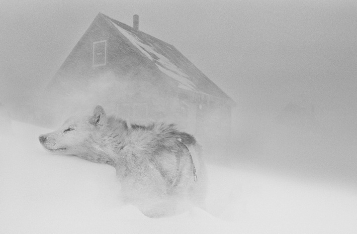 Last Days of the Arctic, Photos © Ragnar Axelsson, www.RAX.is 2010.