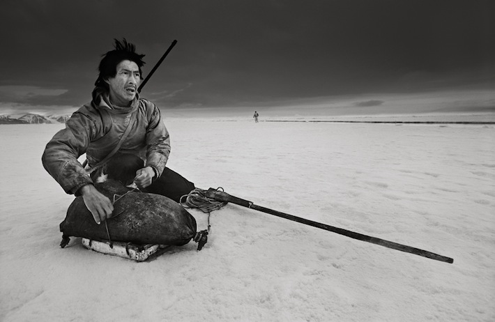 Greenland, Thule. Ule Neylsen, hunter, looking at a polar bear. Last Days of the Arctic, Photos © Ragnar Axelsson, www.RAX.is 2010.